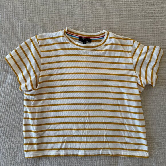 AYR - The Sno Cone Tee - Turmeric - S - Picture 2 of 5